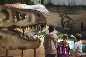 Dinosaur Isle, one of the best things to do with kids on the Isle of Wight