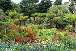 Ventnor Botanical Gardens, one of the best gardens to visit on the Isle of Wight